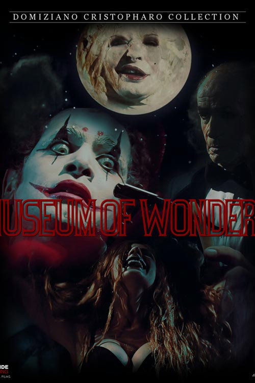 Movie poster for The Museum Of Wonders (2010)