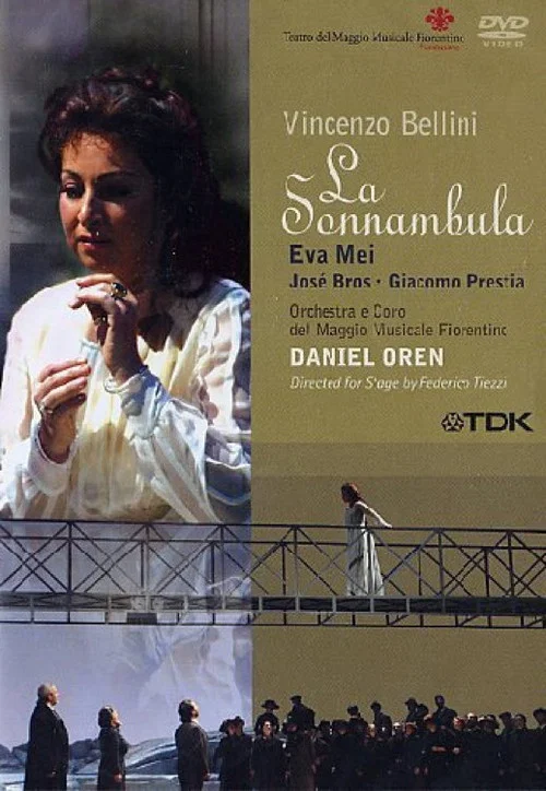 Movie poster for La Sonnambula (2004)