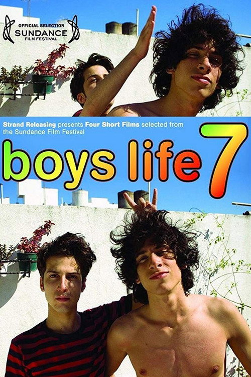 Movie poster for Boys Life 7 (2010)