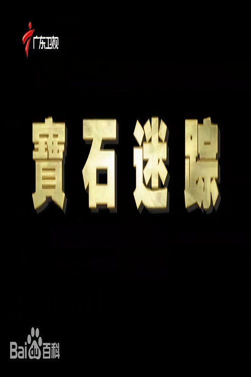 Movie poster for 宝石迷踪
