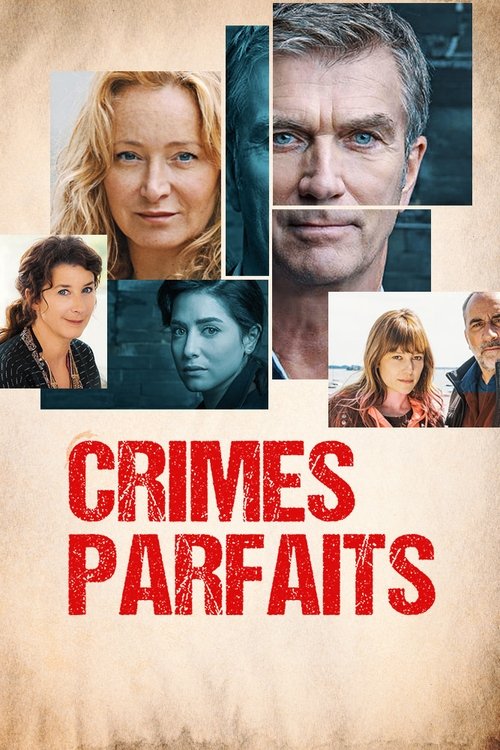 Series poster for Crimes parfaits (2017)