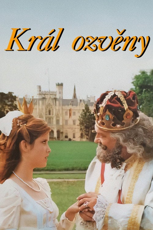 Movie poster for Král ozvěny (2000)