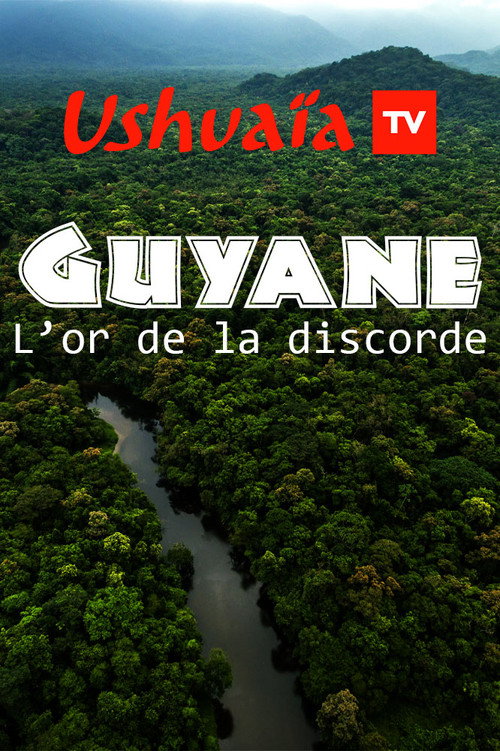 Movie poster for Guyane : L'or de la discorde