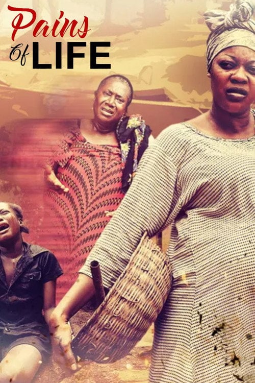 Movie poster for Pains Of Life (2017)
