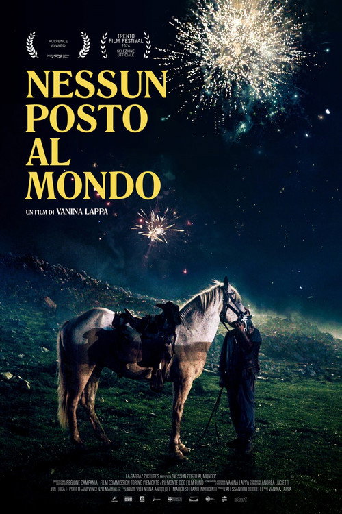 Movie poster for Nessun posto al mondo (2024)