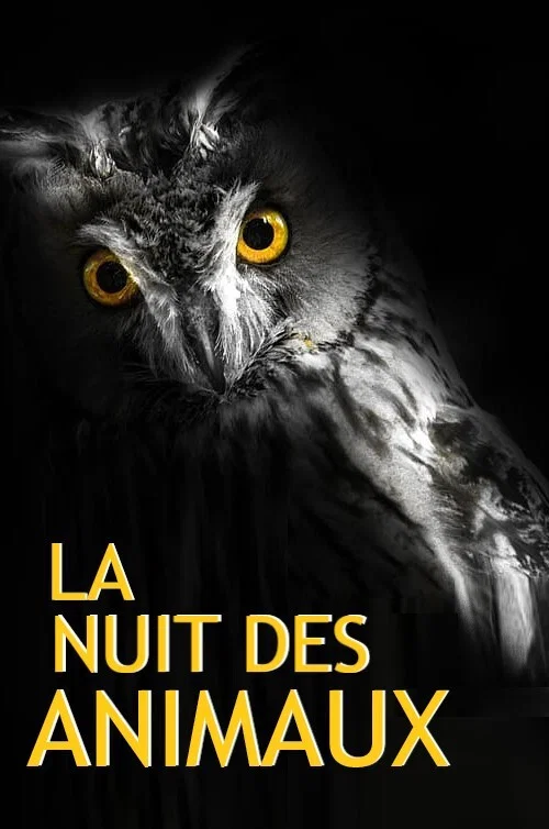 Movie poster for La Nuit des Animaux (2017)
