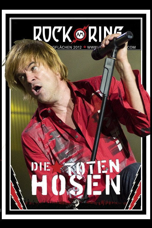 Movie poster for Die Toten Hosen - Rock am Ring (2012)