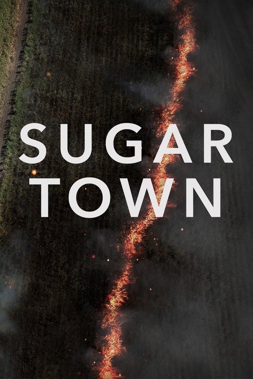 Movie poster for Sugar Town (2018)