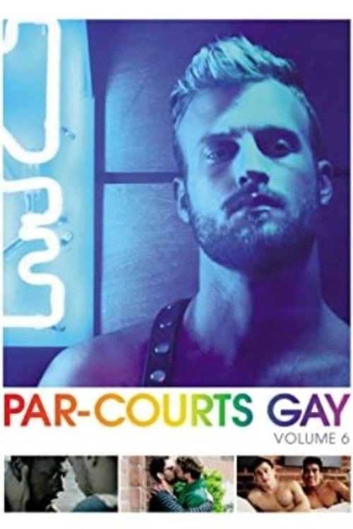 Movie poster for Par-courts Gay, Volume 6 (2018)