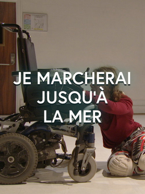 Movie poster for Je marcherai jusqu'à la mer (2013)