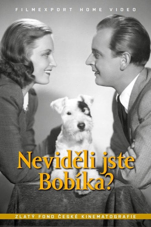 Movie poster for Neviděli jste Bobíka? (1944)