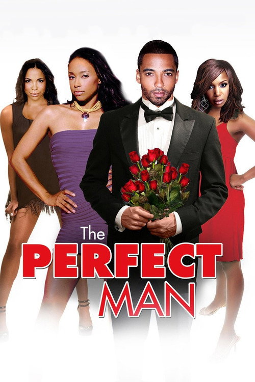 Movie poster for The Perfect Man (2011)