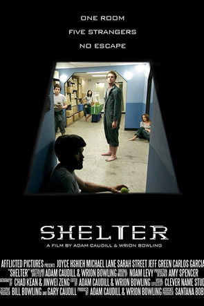 Movie poster for Shelter (2015)