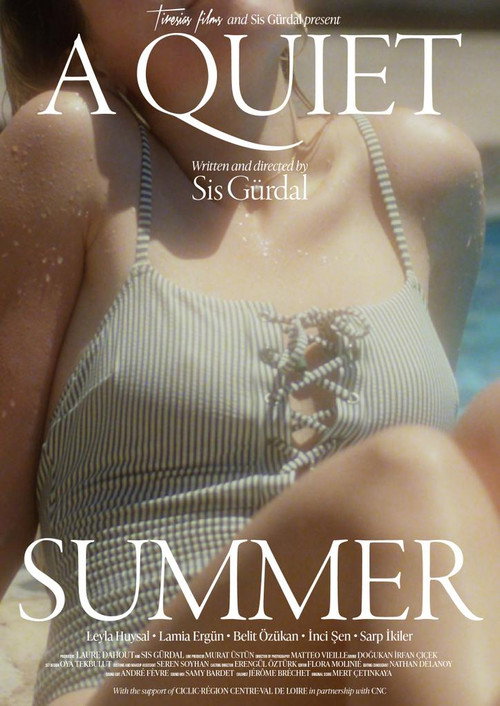 Movie poster for A Quiet Summer (2022)