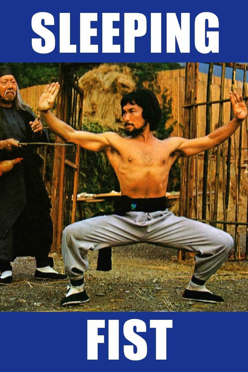 Movie poster for Sleeping Fist (1979)