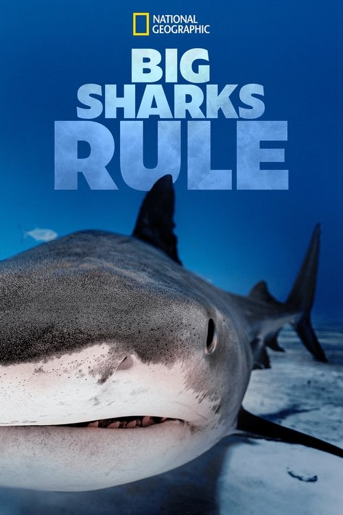 Movie poster for Big Sharks Rule (2018)