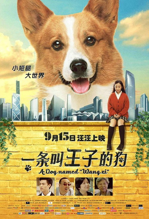 Movie poster for A Dog Named Wang Zi (2016)