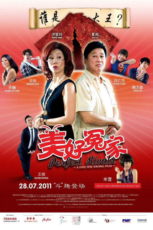 Movie poster for Perfect Rivals (2011)