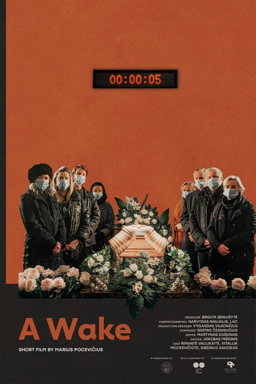 Movie poster for A Wake (2025)