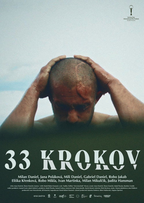 Movie poster for 33 Steps