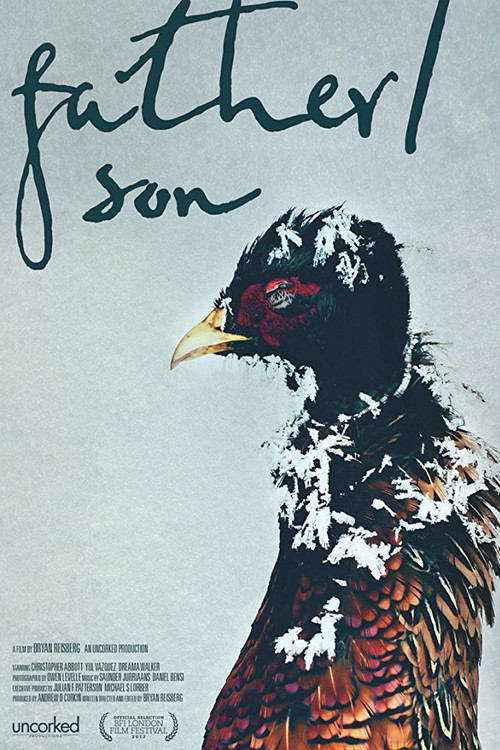 Movie poster for Father/Son (2012)