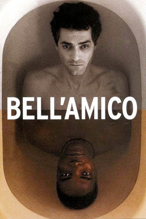 Movie poster for Bell'amico (2003)