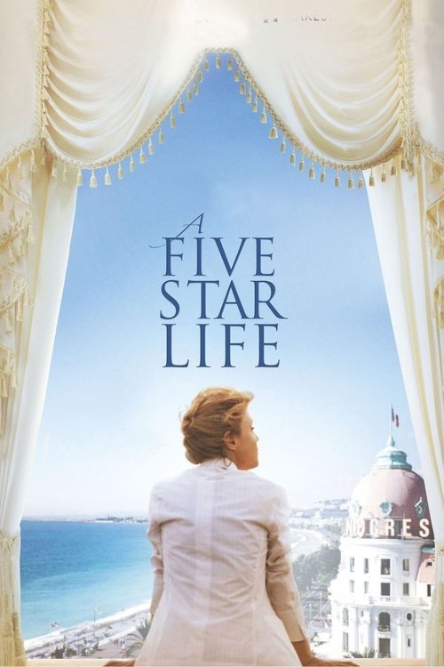 Movie poster for A Five Star Life (2013)