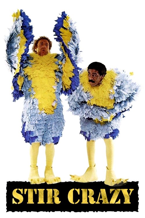 Movie poster for Stir Crazy (1980)