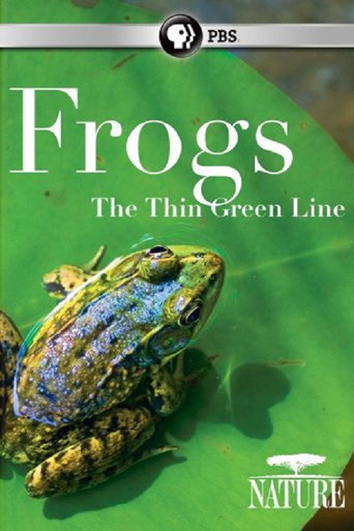 Movie poster for Frogs: The Thin Green Line (2009)