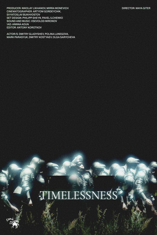 Movie poster for Timelessness (2024)