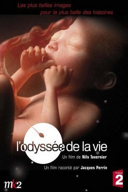 Movie poster for L'odyssée de la vie (2006)
