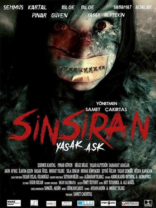 Movie poster for Sinsiran: Yasak Aşk (2017)