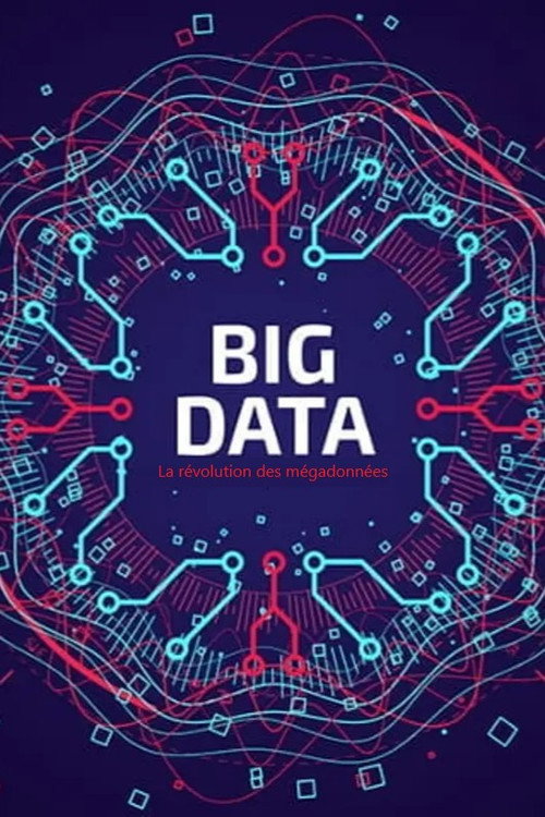 Movie poster for Big Data - La révolution des mégadonnées (2014)