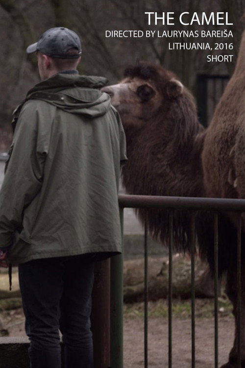 Movie poster for The Camel (2016)