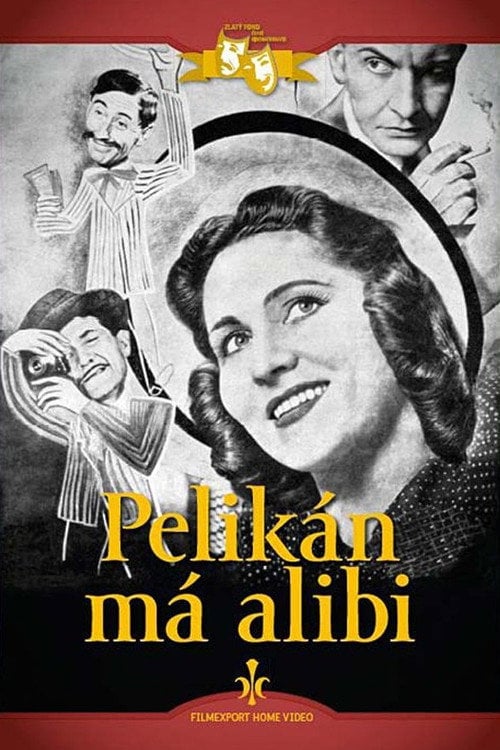 Movie poster for Pelikán má alibi (1940)