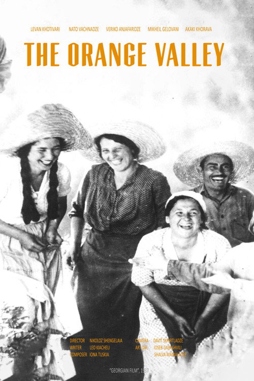 Movie poster for The Orange Valley (1937)