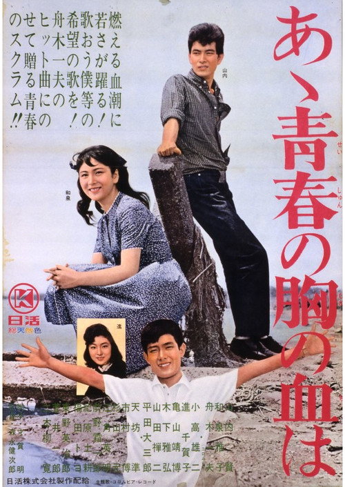 Movie poster for Aa Seishun no Mune no Chi wa (1964)