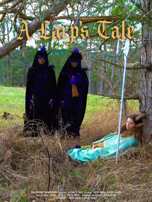 Movie poster for A Larp's Tale