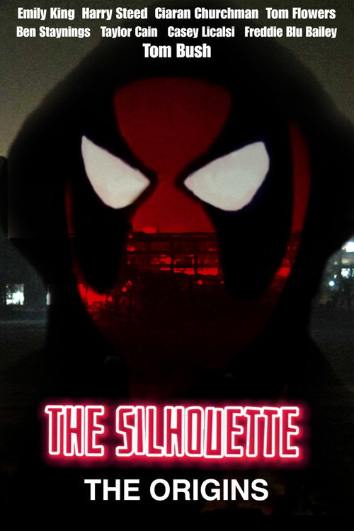 Movie poster for The Silhouette: The Origins