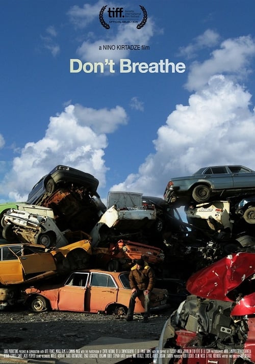 Movie poster for Don't Breathe (2014)