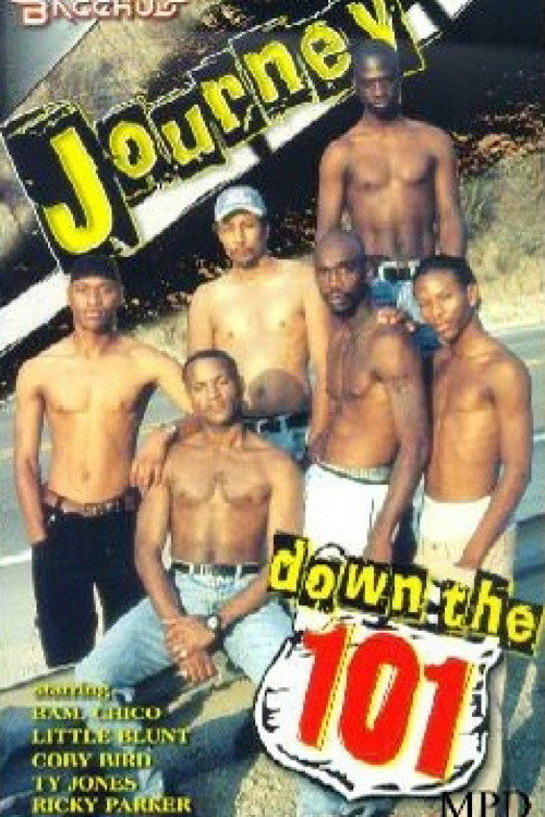 Movie poster for Journey Down the 101 (2000)