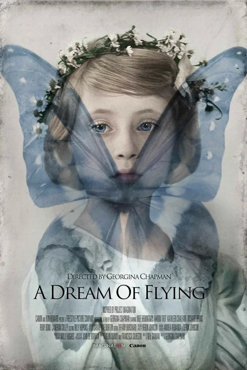 Movie poster for A Dream of Flying (2013)
