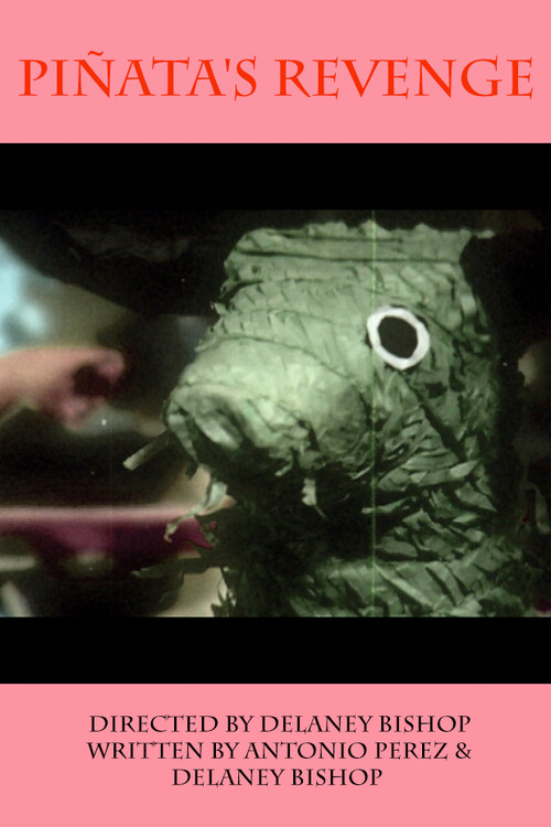 Movie poster for Piñata's Revenge (2008)