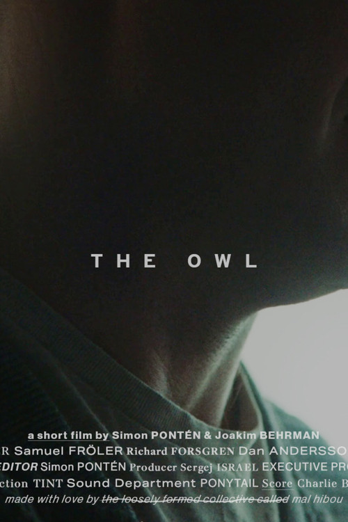 Movie poster for The Owl (2020)