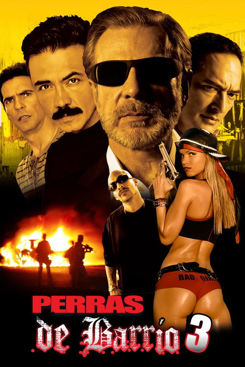 Movie poster for Perras de barrio 3 (2018)