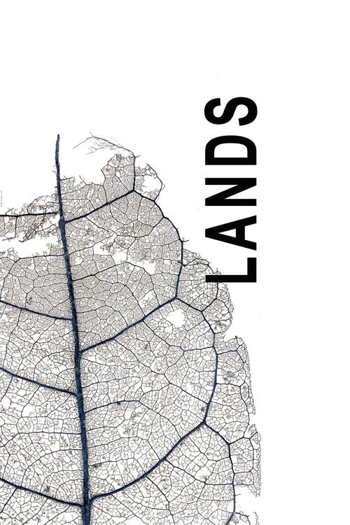 Movie poster for Lands (2009)