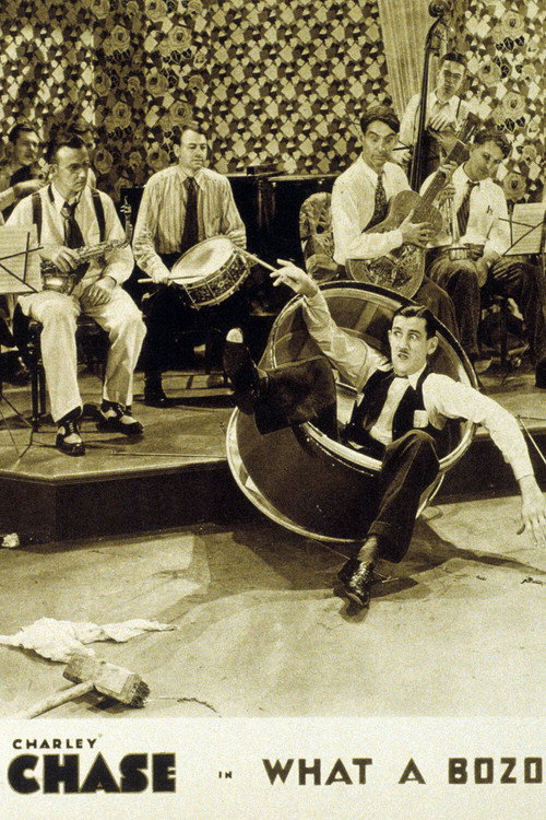 Movie poster for What a Bozo! (1931)