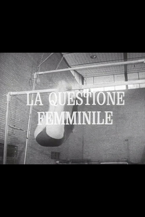 Movie poster for La questione femminile (1976)