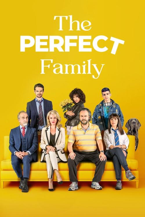 Movie poster for The Perfect Family (2021)
