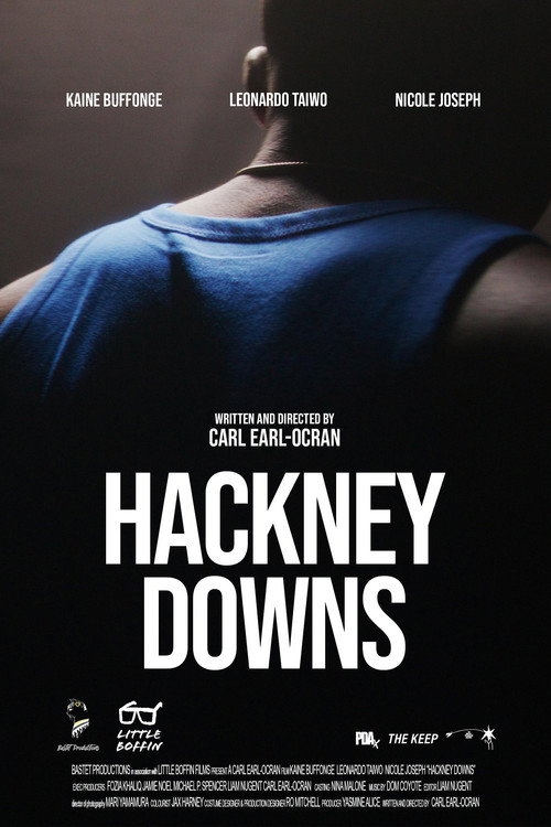 Movie poster for Hackney Downs (2024)